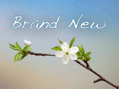 Brand New / Restoration Covenant Church Apple Valley, MN